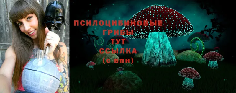 Галлюциногенные грибы Magic Shrooms  как найти наркотики  Новочеркасск 